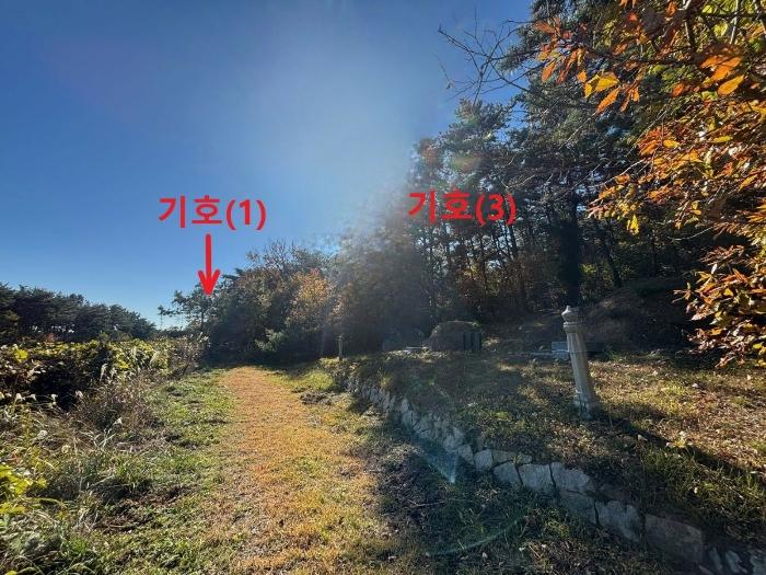 법원경매 2024타경6590 사진4 | 부산 기장군 일광읍 청광리 331-3 과수원 경매