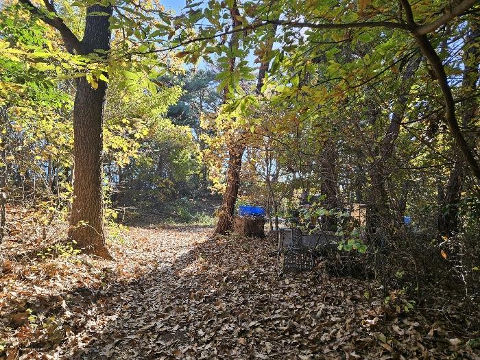 법원경매 2024타경6590 사진6 | 부산 기장군 일광읍 청광리 임야 경매