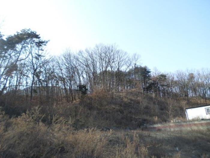 법원경매 2022타경500132 사진20 | 원주시 문막읍 건등리 197-2 전 경매