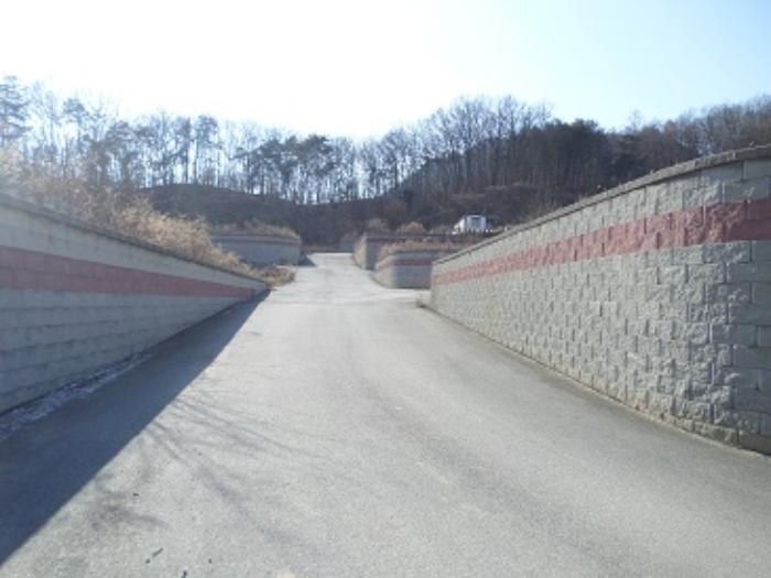 법원경매 2022타경500132 사진9 | 원주시 문막읍 건등리 197-2 전 경매