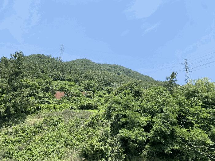 2025타경51189 법원경매 사진4 | 전남 무안군 임야 경매