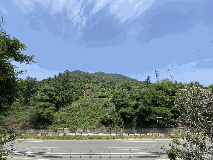 2025타경51189 법원경매 사진7 | 전남 무안군 임야 경매