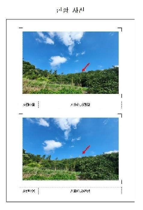 2025타경51221 법원경매 사진3 | 전남 무안군 임야 경매