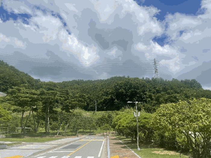 2025타경51221 법원경매 사진2 | 전남 무안군 임야 경매