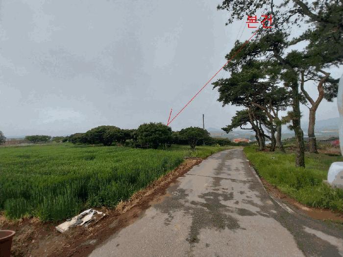 2025타경201 법원경매 사진7 | 전북 고창군 임야 경매