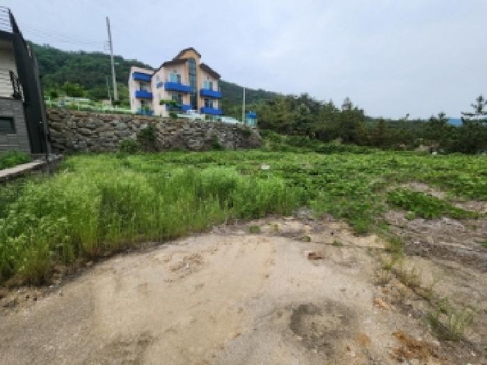 전북 부안군 변산면 도청리 612-35 대지 사진 3
