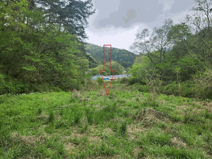 2025타경30230 법원경매 사진13 | 전북 정읍시 임야 경매