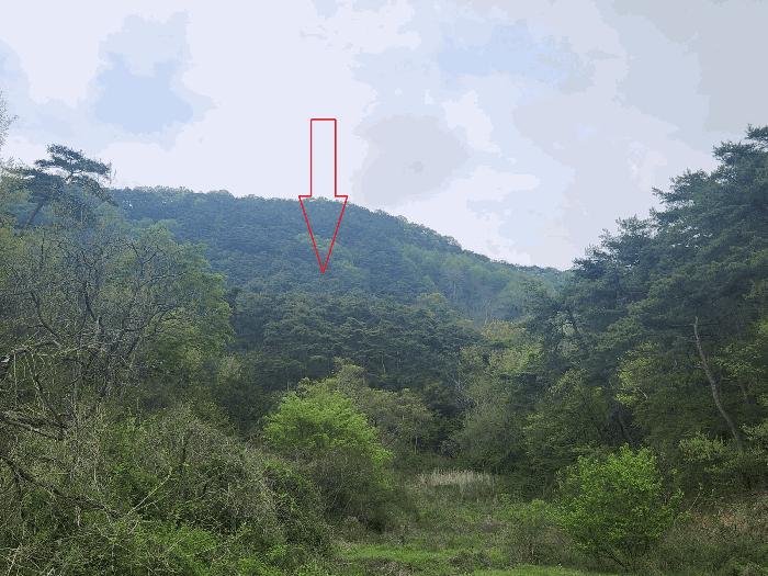 2025타경30230 법원경매 사진20 | 전북 정읍시 임야 경매