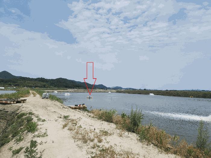 법원경매 2025타경250 사진3 | 부안군 진서면 진서리 임야 경매