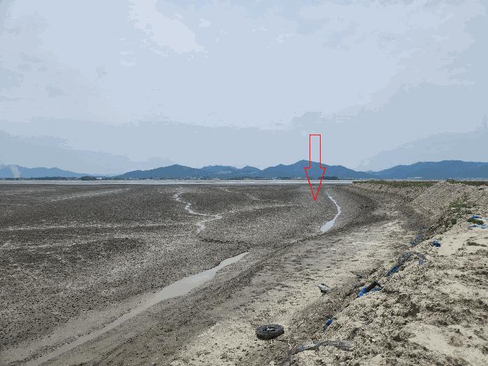 법원경매 2025타경250 사진4 | 부안군 진서면 진서리 임야 경매