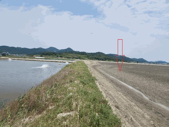 법원경매 2025타경250 사진5 | 부안군 진서면 진서리 임야 경매