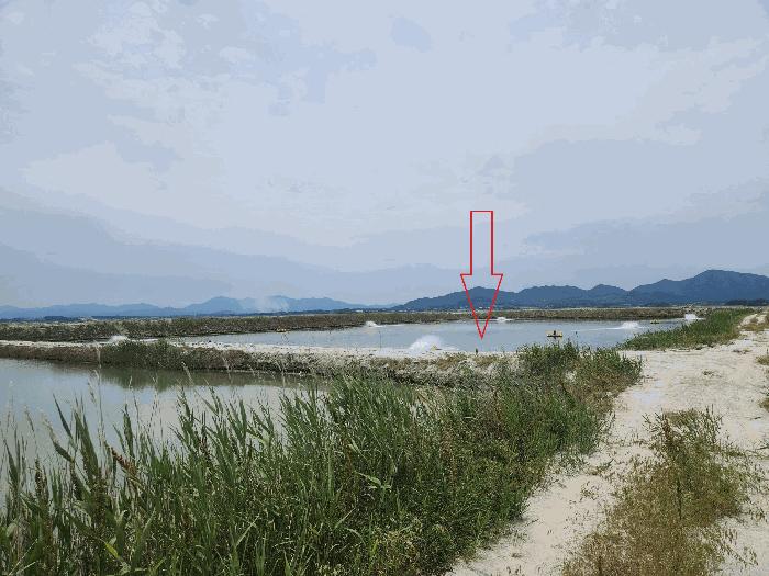 법원경매 2025타경250 사진7 | 부안군 진서면 진서리 임야 경매