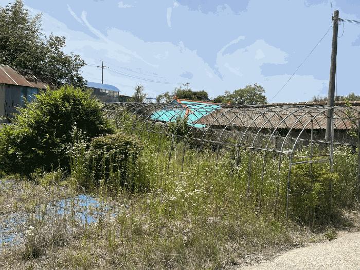 2025타경30278 법원경매 사진2 | 전북 고창군 전 경매