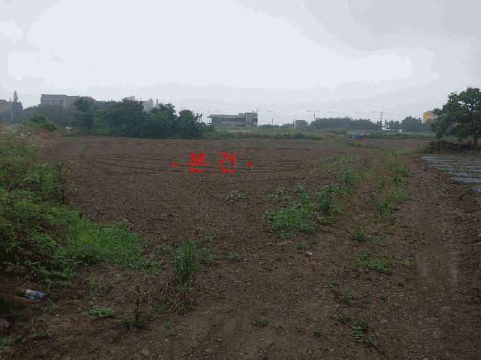 2025타경30293 법원경매 사진3 | 전북 부안군 전 경매