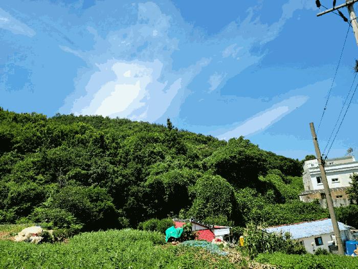 2025타경51681 법원경매 사진3 | 전남 여수시 임야 경매