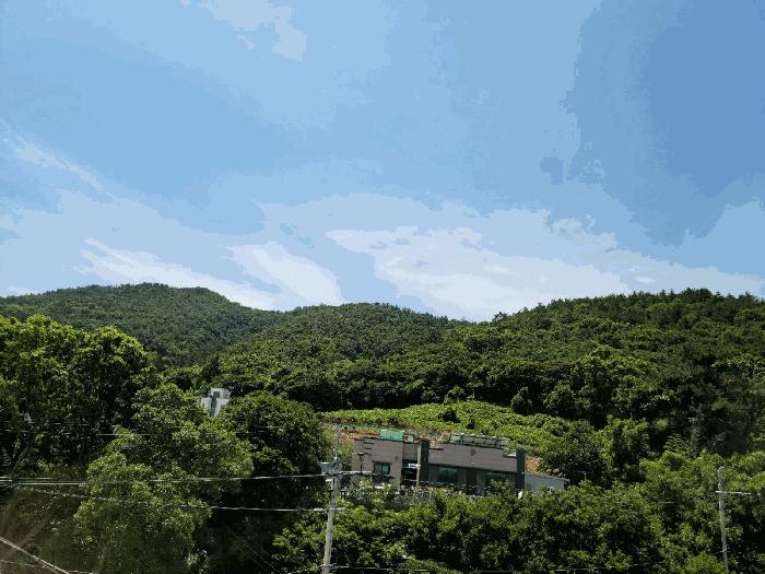 2025타경51681 법원경매 사진4 | 전남 여수시 임야 경매