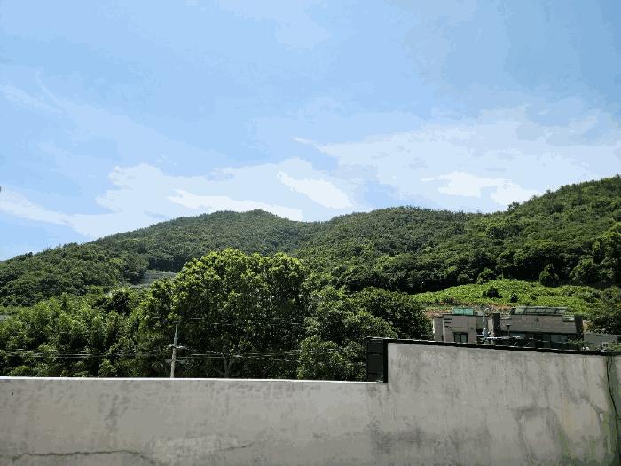 2025타경51681 법원경매 사진5 | 전남 여수시 임야 경매