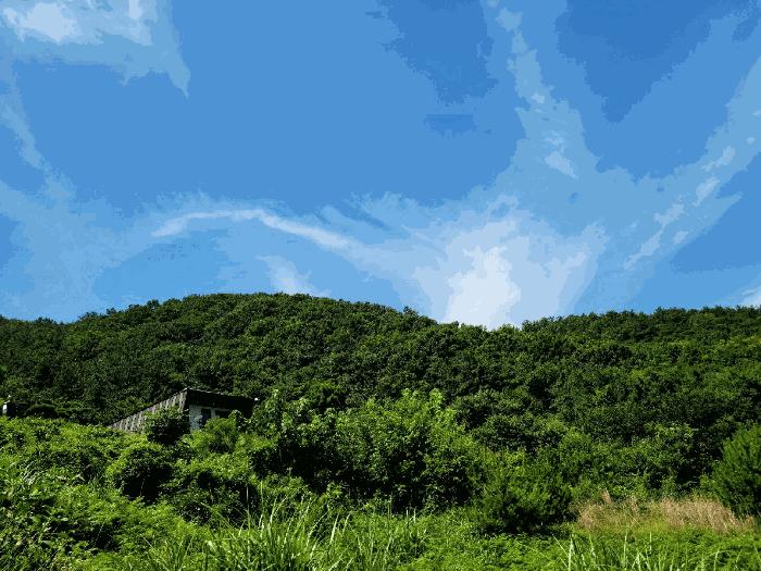 2025타경51681 법원경매 사진7 | 전남 여수시 임야 경매