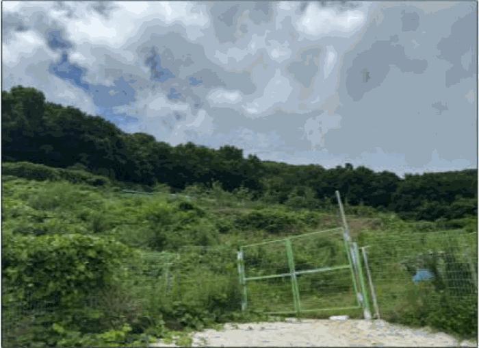 법원경매 2025타경51738 사진4 | 여수시 오림동 임야 경매