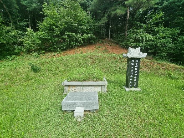법원경매 2024타경79989 사진4 | 남양주시 진접읍 팔야리 임야 경매