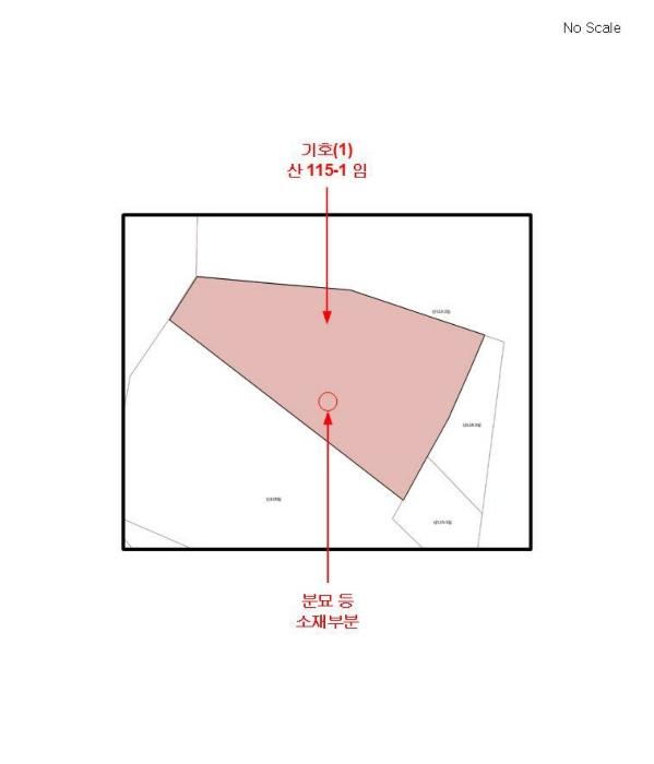 법원경매 2024타경79989 사진9 | 남양주시 진접읍 팔야리 임야 경매