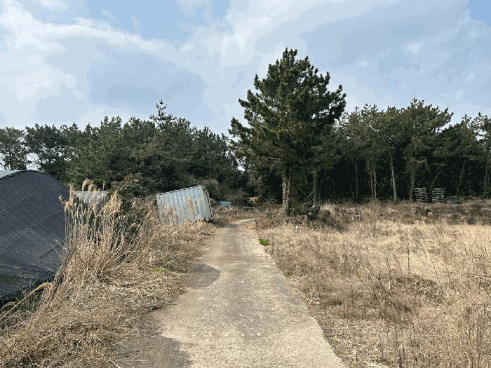 2024타경1608 법원경매 사진2 | 제주 서귀포시 주택건물 경매