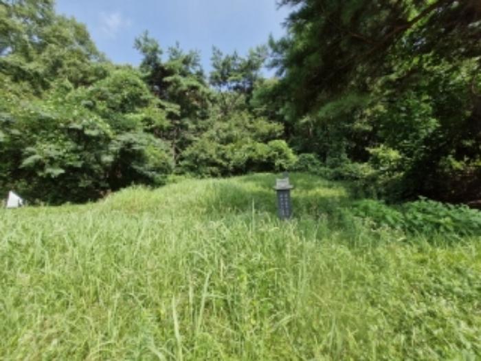 법원경매 2024타경1508 사진40 | 의왕시 학의동 임야 경매