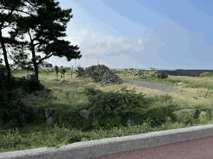 2025타경957 법원경매 사진4 | 제주 제주시 전답 경매