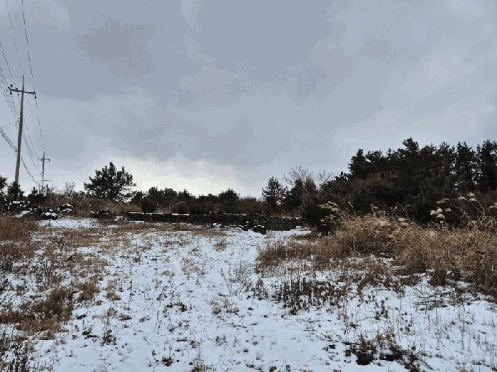 2025타경6709 법원경매 사진7 | 제주 제주시 잡종지 경매