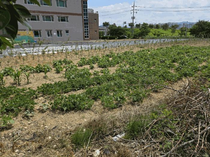 경상북도 경주시 현곡면 금장리 210 법원경매 물건 대표사진
