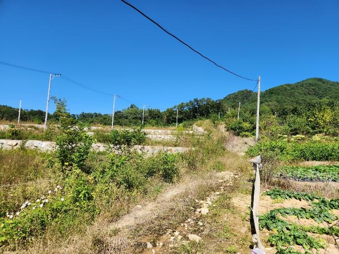 법원경매 2024타경1578 사진5 | 상주시 연원동 904 대지 경매