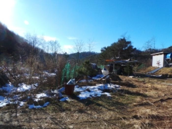 법원경매 2024타경33397 사진7 | 평창군 봉평면 면온리 155 임야 경매