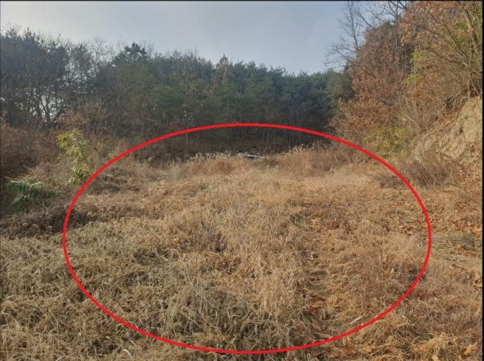 법원경매 2024타경12199 사진2 | 의성군 안사면 만리리 706-1 전 경매