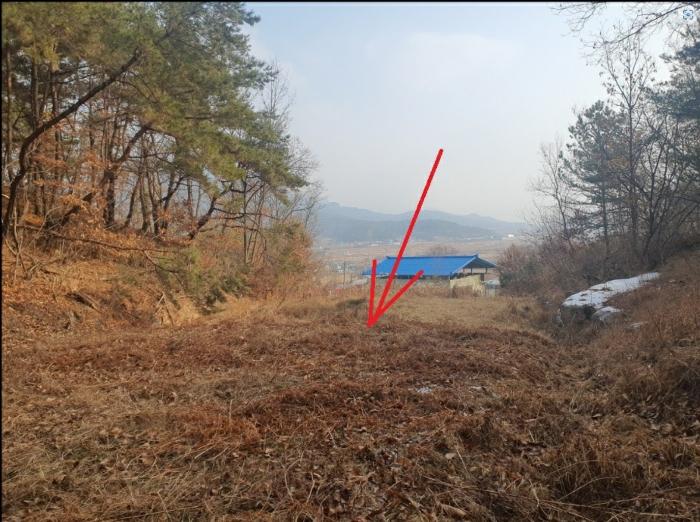 법원경매 2024타경12199 사진4 | 의성군 안사면 만리리 706-1 전 경매