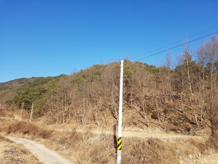 법원경매 2024타경12199 사진7 | 의성군 안사면 만리리 706-1 전 경매
