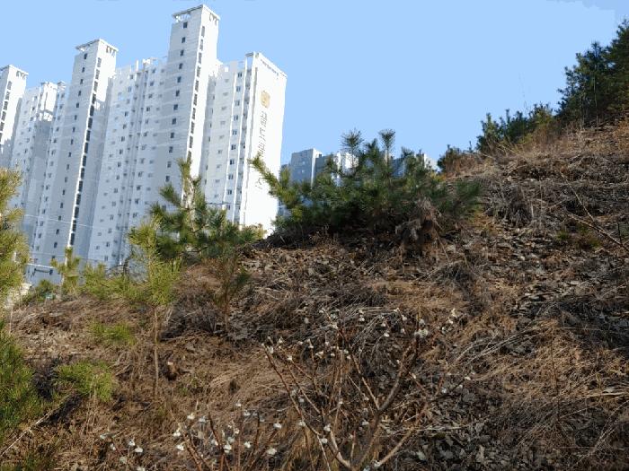 2025타경520 법원경매 사진4 | 충남 서산시 종교시설 경매