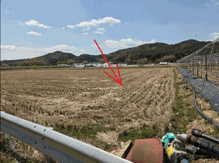 법원경매 2025타경31122 사진5 | 대구 달성군 하빈면 기곡리 131 답 경매