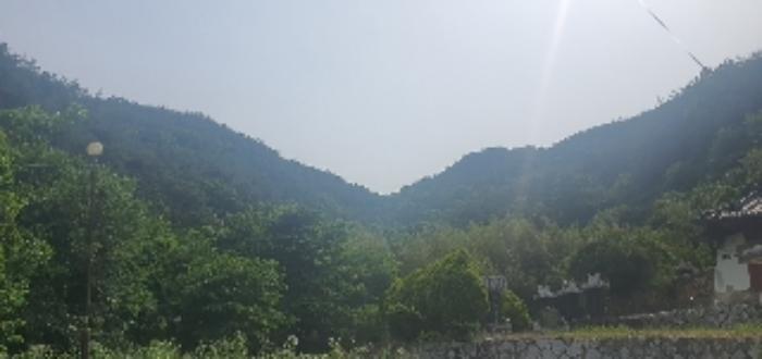 2023타경107275 법원경매 사진44 | 경남 함안군 임야 경매
