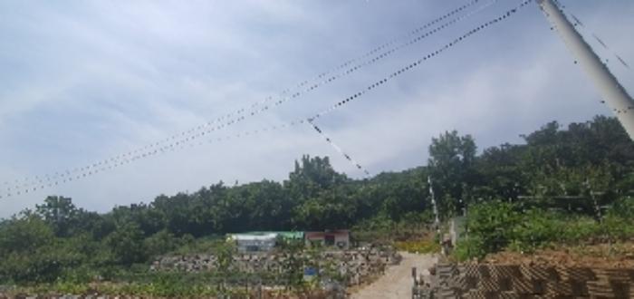 2023타경107275 법원경매 사진56 | 경남 함안군 임야 경매