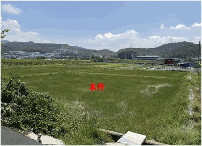 2025타경204 법원경매 사진4 | 경남 함안군 답 경매