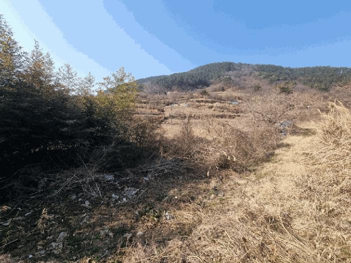 2025타경20435 법원경매 사진9 | 창원 마산합포구 주택건물 경매