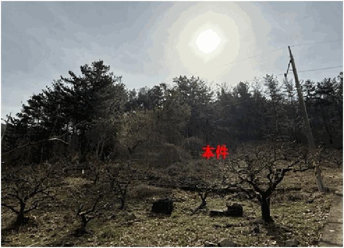 2025타경20445 법원경매 사진8 | 경남 함안군 임야 경매