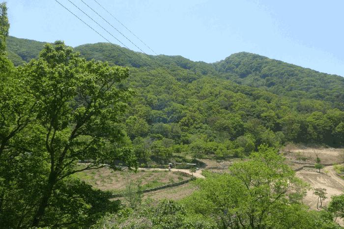 법원경매 2025타경7914 사진2 | 칠곡군 석적읍 성곡리 임야 경매