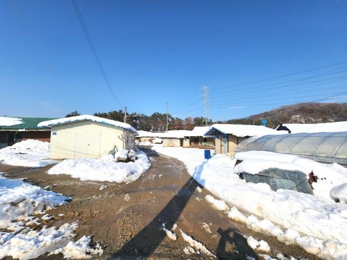 법원경매 2024타경55427 사진3 | 안성시 대덕면 대농리 189 대지 경매
