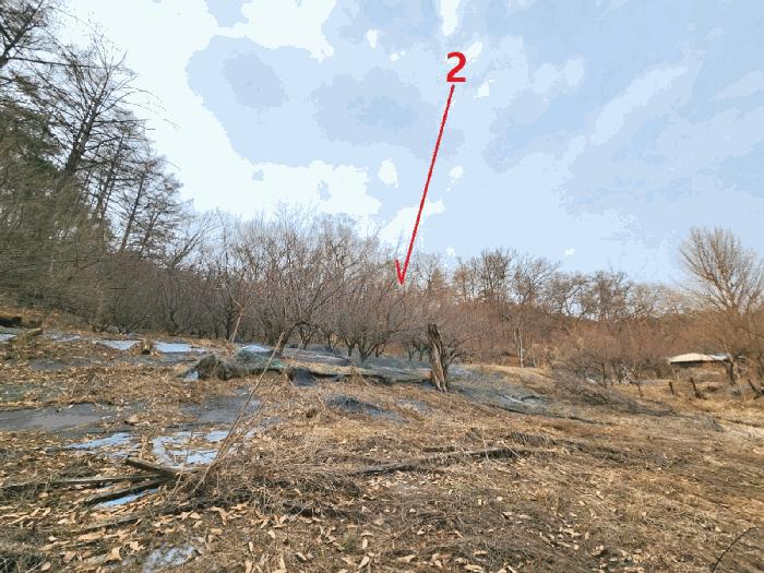 법원경매 2025타경41477 사진2 | 안성시 삼죽면 내강리 157-1 대지 경매