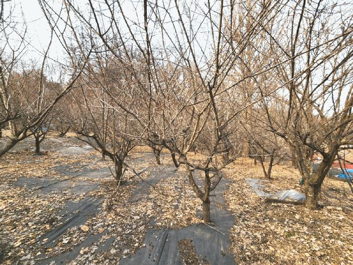 경기도 안성시 삼죽면 내강리 157-3 법원경매 물건 대표사진