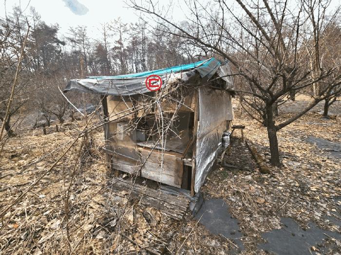 법원경매 2025타경41477 사진16 | 안성시 삼죽면 내강리 157-3 전답 경매