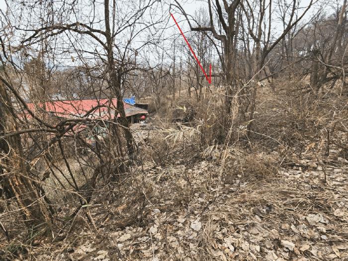 법원경매 2025타경41477 사진3 | 안성시 삼죽면 내강리 157-3 전답 경매