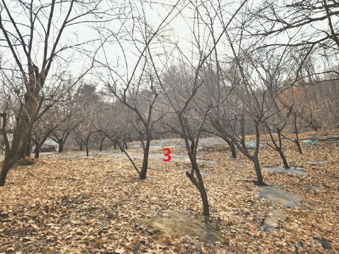 법원경매 2025타경41477 사진6 | 안성시 삼죽면 내강리 157-3 전답 경매