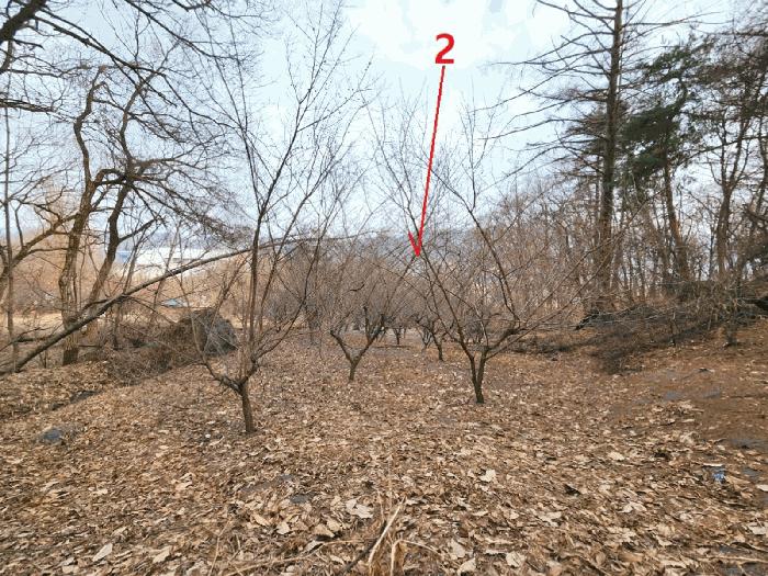 법원경매 2025타경41477 사진7 | 안성시 삼죽면 내강리 157-3 전답 경매